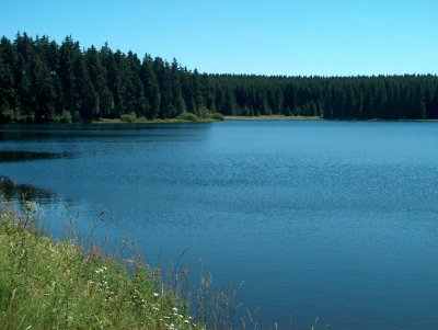Der Oberharzer Hirschler Teich