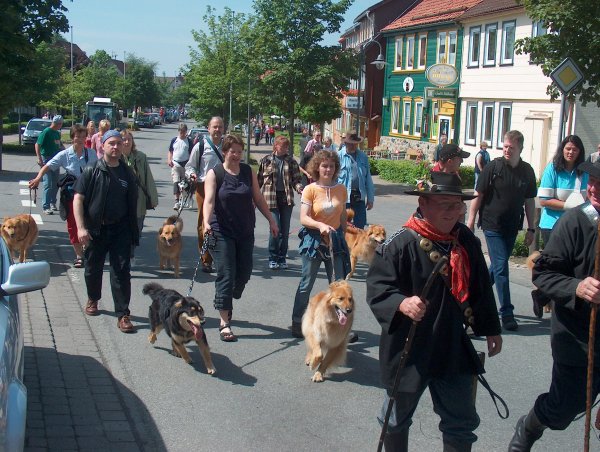 Hunde beim Kuhaustrieb in St. Andreasberg
